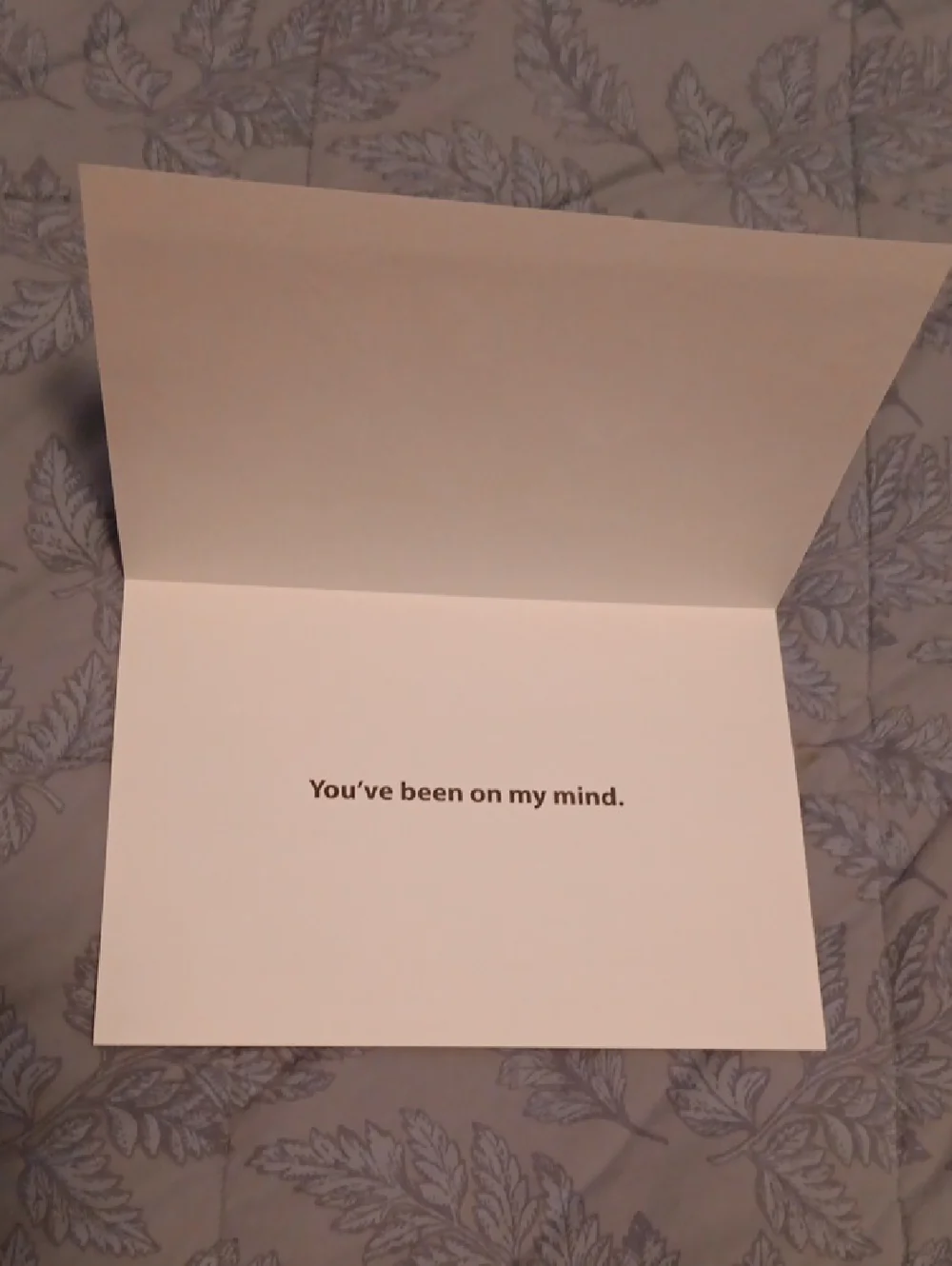 Animal Cards Dog/Puppy & Cat Set of 4 w-white envelopes included